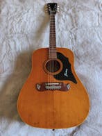 Framus - - Guitare acoustique - Allemagne