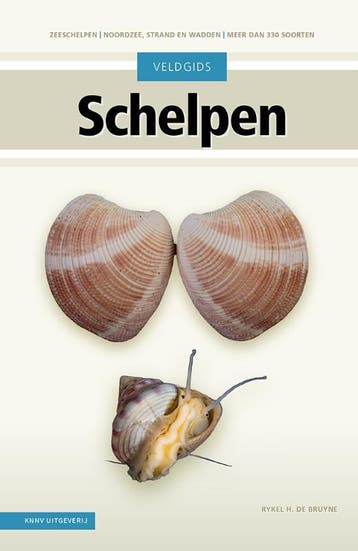 Veldgids Schelpen | Rykel Bruyne | Nieuw, Boeken, Verzenden, Nieuw, Rykel Bruyne