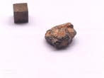 NWA 11474 - météorite lunaire (brèche feldspathique) -