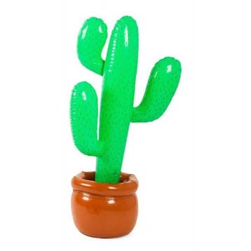 Opblaasbare Cactus 85cm, Verzenden