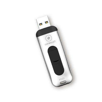LUXWALLET SSD1 - Flash Drive 256GB - 300 MB/s - USB 3.1/3.0, Verzenden