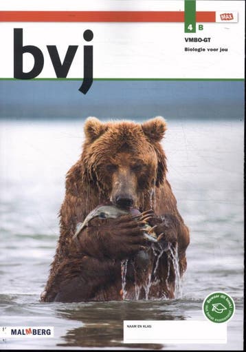 bvj / 4B vmbo-gt 9789402077896 Bos, Verzenden, Bos