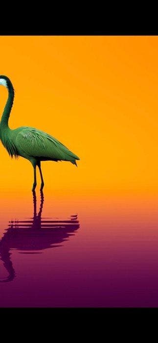 Eric Lespinasse (1974) - Colorful Heron 2, Antiquités & Art, Art | Peinture | Moderne