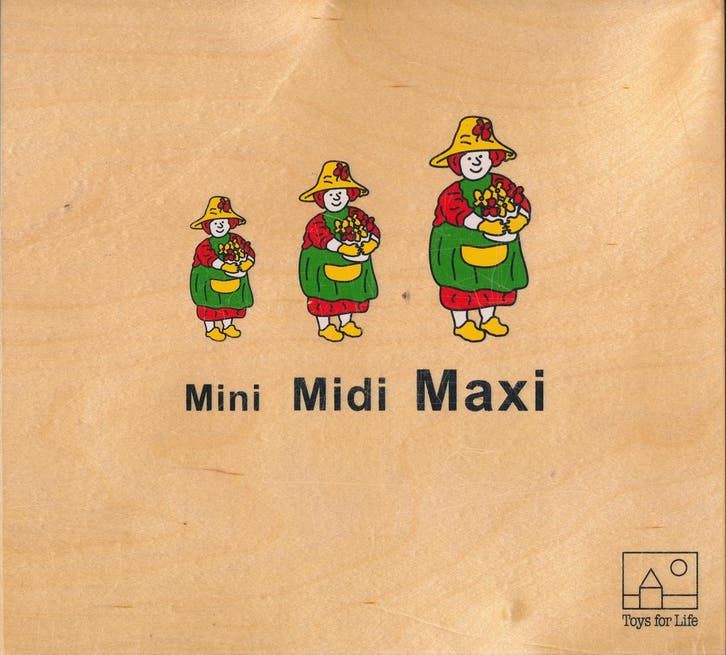 Toys for Life Mini Midi Maxi (zie omschrijving), Boeken, Schoolboeken, Verzenden