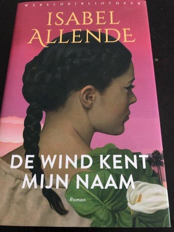 De wind kent mijn naam 9789028453227 Isabel Allende, Boeken, Verzenden, Gelezen, Isabel Allende