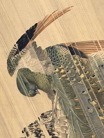 Pauwen en Rozen in de Regen - Zijde - Gunpo - Japan - Meiji