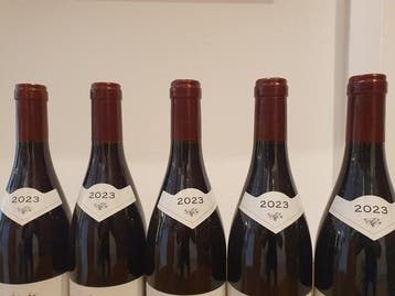 2023 Domaine Michel Gaunoux Pommard 1° Cru Rugines bas,, Collections, Vins