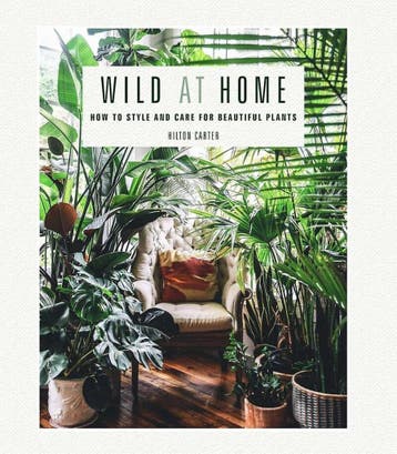 Wild at home 9781782497134 Hilton Carter, Verzenden, Hilton Carter