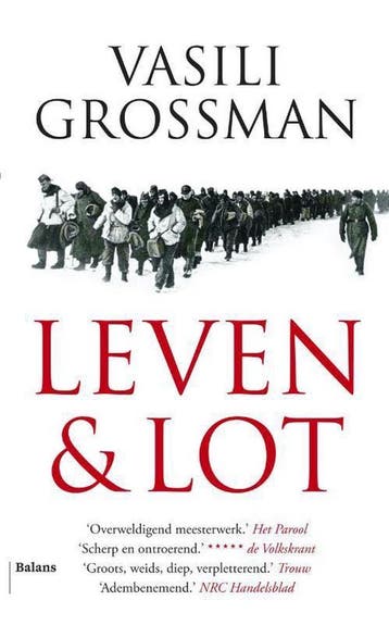Leven en lot 9789460034978 Vasili Grossman, Verzenden, Zo goed als nieuw, Vasili Grossman