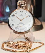 Omega - Excellent Bienne geneve - 8576776 - 1850-1900, Nieuw