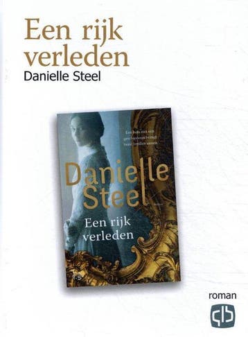 Een rijk verleden / Grote letter bibliotheek / 3694, Livres, Romans, Verzenden, Danielle Steel