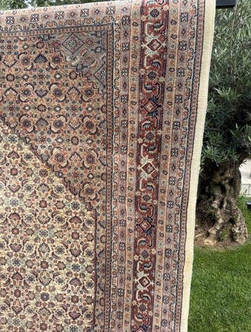 Tapis Indo-Bijar - Tapis - 310 cm - 250 cm