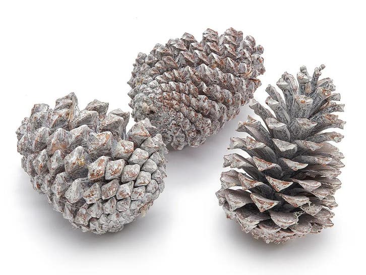 Dennenappels maritima grote dennenappel frosted 12cm 12, Huis en Inrichting, Woonaccessoires | Kunstplanten en Kunstbloemen, Nieuw