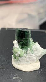 Tourmaline verte naturelle Cristal avec mica - Hauteur : 22