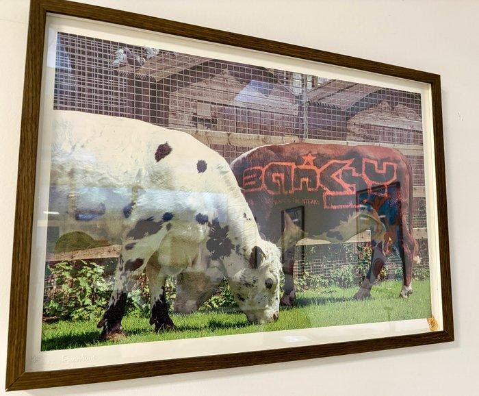 Banksy (1974) - How to get ahead in advertising - Steve, Antiek en Kunst, Kunst | Schilderijen | Modern