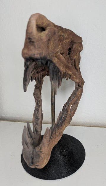 Fossiele schedel - Postosuchus kirkpatricki - Museum Grade