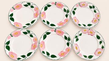 Villeroy & Boch - 6 Grandes assiettes - Service de table