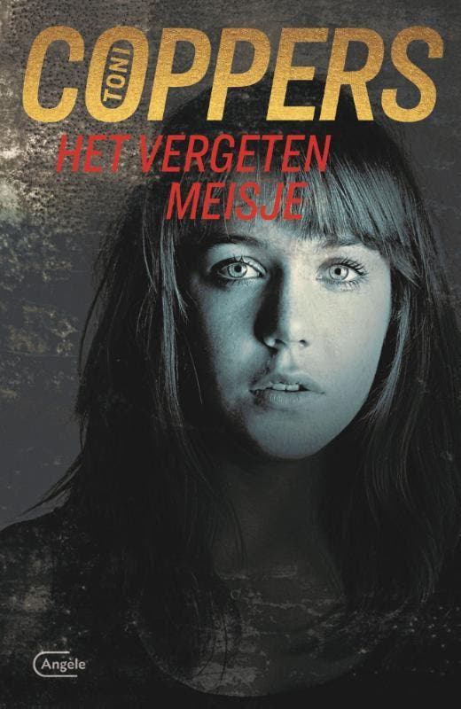 Het vergeten meisje / Liese Meerhout / 16 9789022336205, Livres, Thrillers, Envoi