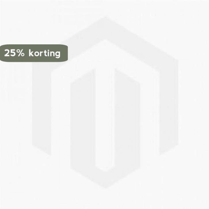 Aalto 9789461060327 L. Lahti, Livres, Art & Culture | Architecture, Envoi