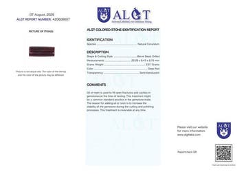 Geen Reserve - ALGT-gecertificeerd - Grote en uiterst