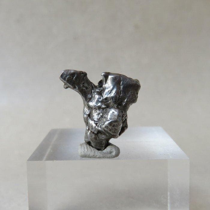 Campo del Cielo meteorite IJzer meteoriet - 95.3 g - (26), Verzamelen, Mineralen en Fossielen