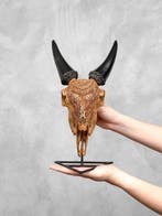 PAS DE PRIX DE RÉSERVE - Crâne de chèvre brun sculpté à la