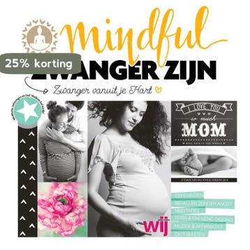 Mindful zwanger zijn 9789082250817 Anna van Amsterdam, Verzenden, Gelezen, Anna van Amsterdam