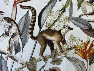Geen reserveprijs!! Lemurenjungle: een botanisch avontuur