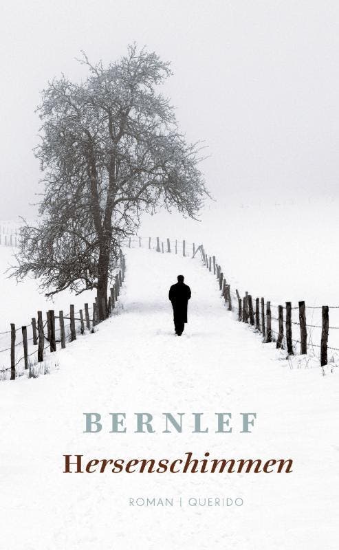 Hersenschimmen 9789021440132 Bernlef, Boeken, Romans, Gelezen, Verzenden