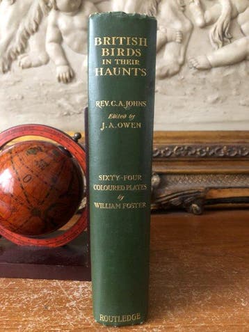 C.A Johns. - British Birds in their hunts (64 coloured