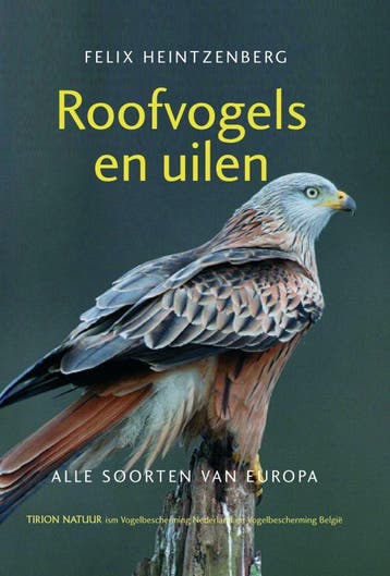 Roofvogels en uilen 9789052107189 F. Heintzenberg, Verzenden, F. Heintzenberg