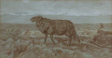 Willem Hendrik van der Nat (1864–1929) - Herder