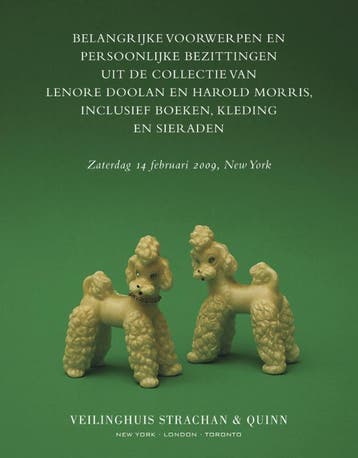 Belangrijke voorwerpen en persoonlijke bezittingen uit de, Verzenden, Gelezen, Leanne Shapton