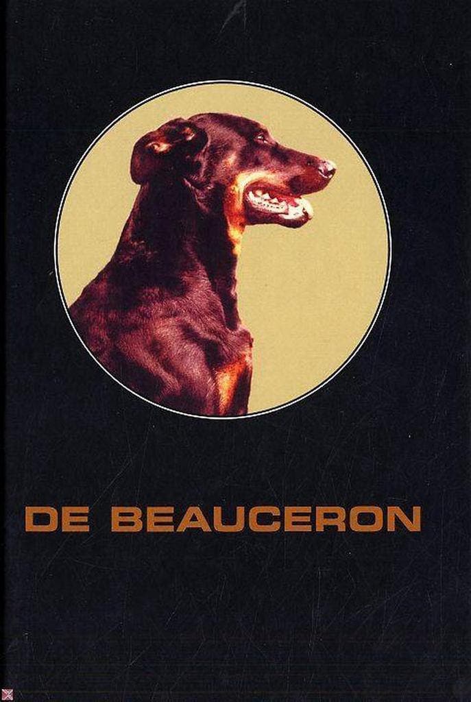 De Beauceron 9789090205038 J. de Gids, Livres, Loisirs & Temps libre, Envoi