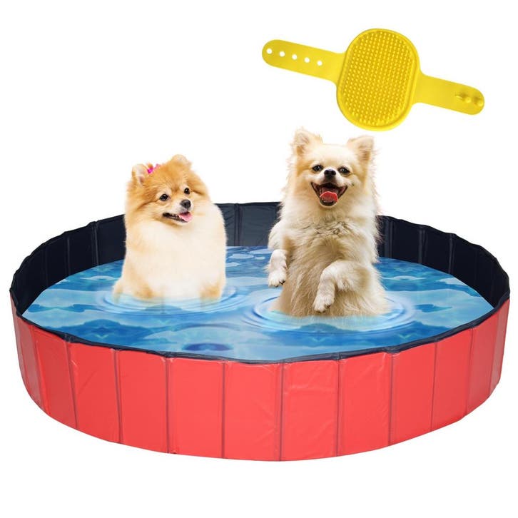 Lendo Online Hondenzwembad Ø160 cm Rood PVC Opvouwbaar, Animaux & Accessoires, Jouets pour chiens, Envoi