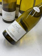 2023 Alain Geoffroy - Domaine le Verger - Chablis - 6, Nieuw