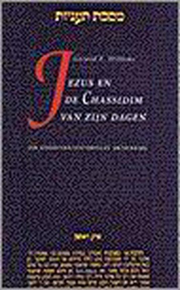 JEZUS EN DE CHASSIDIM VAN ZIJN DAGEN 9789025946630, Verzenden, Gelezen, Gerard F. Willems