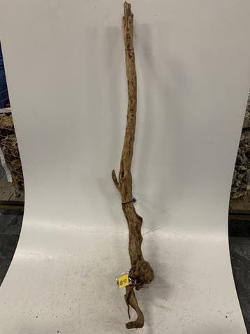 Boutique Stump Selected BS181 - 100x27x10cm, Ophalen of Verzenden, Plant(en), Steen of Hout