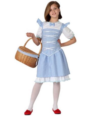 Wizard of oz, dorothy kostuum, Ophalen of Verzenden, Nieuw
