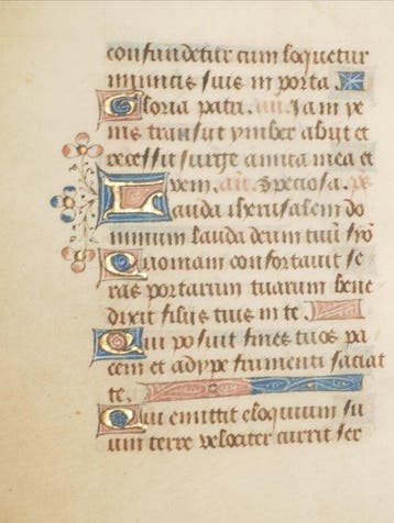Anoniem - Manuscript sheet from a Book of Hours - 15th