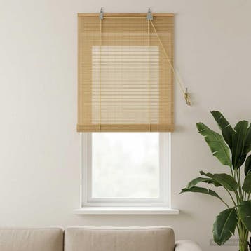 vidaXL Rolgordijn Naturel 60 x 160 cm Bamboe, Verzenden