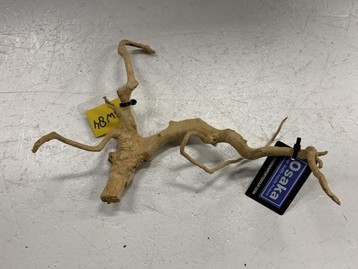 Spiderwood Selected SW84 - 31x24x10cm (Spider wood), Animaux & Accessoires, Poissons | Aquariums & Accessoires, Enlèvement ou Envoi