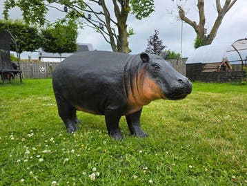 Beeld, XL Hippo - 72.5 cm - mgo - 2026