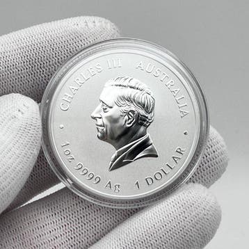 Australië. 1 Dollar 2026 – Lunar Series III: Year of the