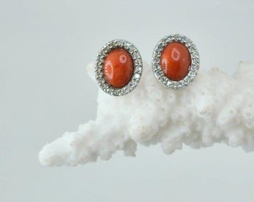 Koraal - Zilver, Zonder reserveprijs - Oorbellen - CORALLO