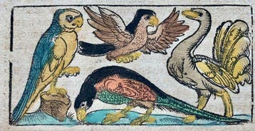 Sebastian Münster - Cosmographey: das ist, Beschreibung, Antiek en Kunst