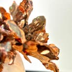 serena grassetti - UNBOUND