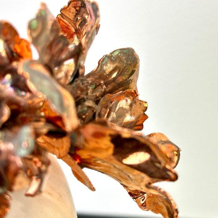 serena grassetti - UNBOUND, Antiek en Kunst, Kunst | Designobjecten