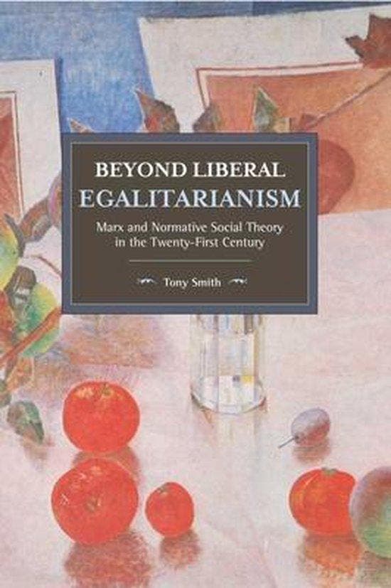 Beyond Liberal Egalitarianism 9781608469970 Tony Smith, Boeken, Taal | Engels, Zo goed als nieuw, Verzenden