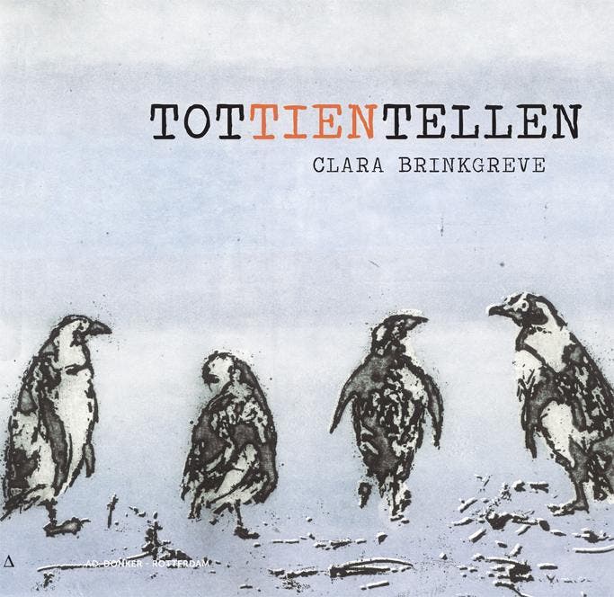Tot tien tellen 9789061007104 Clara Brinkgreve, Boeken, Kunst en Cultuur | Beeldend, Zo goed als nieuw, Verzenden